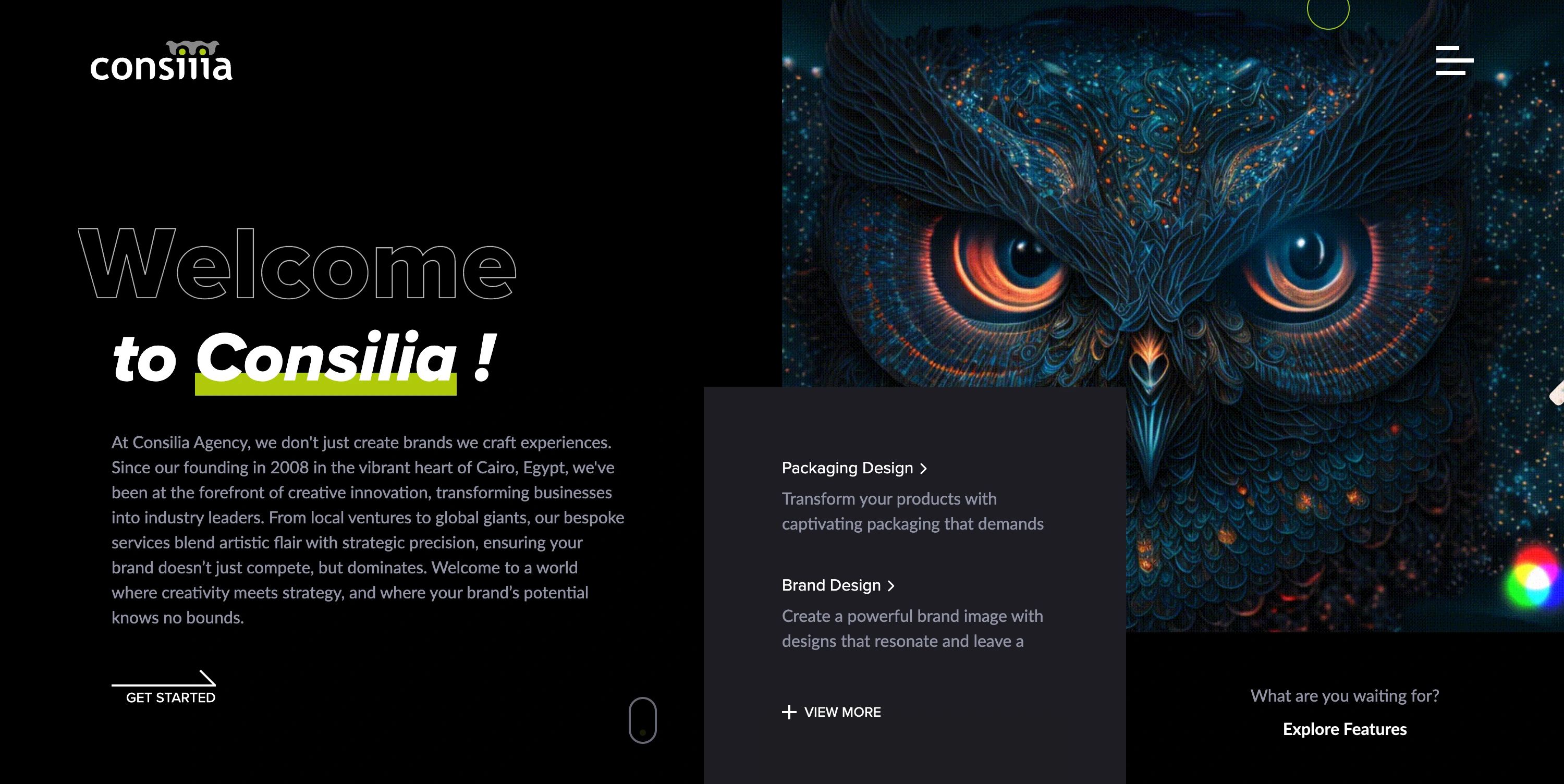 Consilia Agency — 01